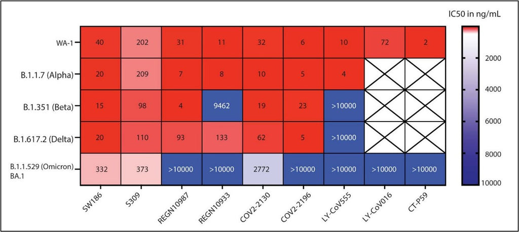 The neutralization activities (IC50 at ng/mL) of monoclonal antibodies against SARS-CoV-2 variants. The heatmap shows the IC50 value.