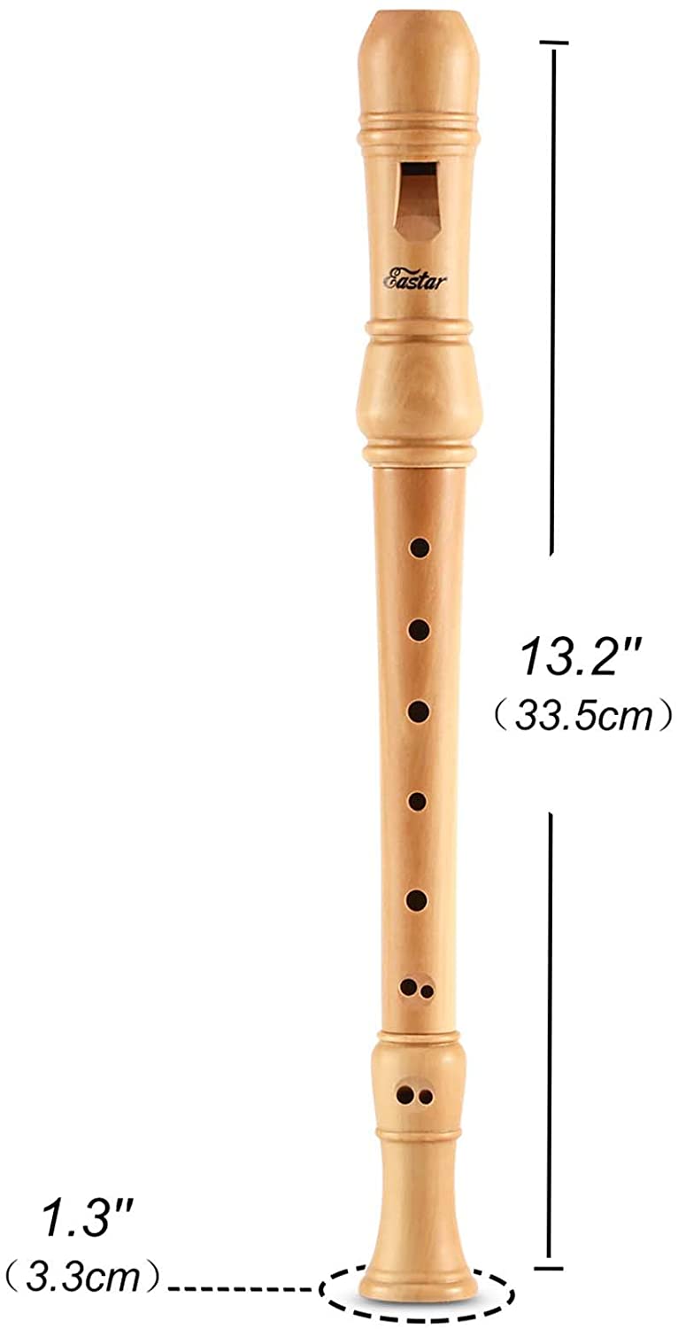 Eastar ERS-31GM German/Baroque Style C-Key Recorder for Beginners/Kids/Adults with Hard Case/Joint Grease/Fingering Chart/Cleaning Kit