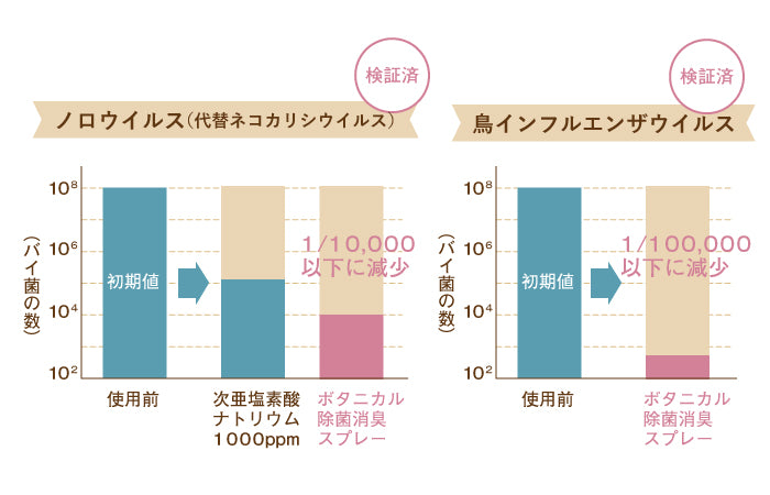 イメージ画像3