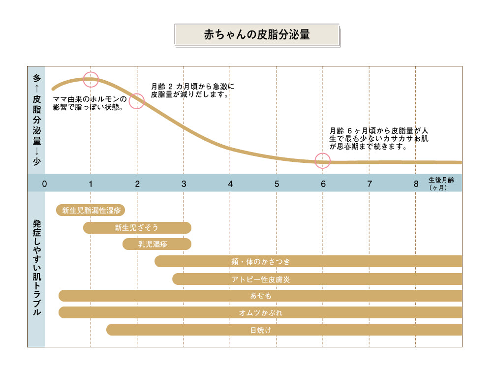 イメージ画像2