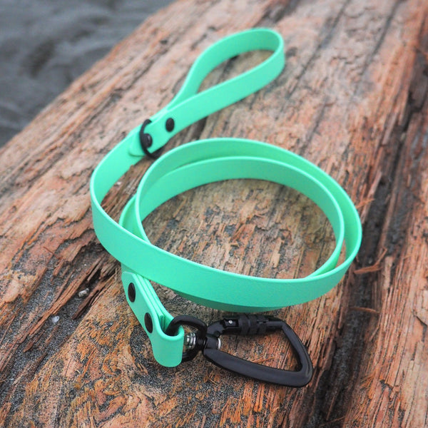 Dog Leash - Sea Green Deluxe & High Quality biothane