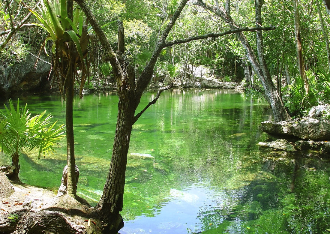 Cozumel cenotes