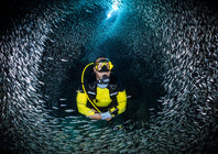 Diver deep underwater surrounded by a shoal of fish