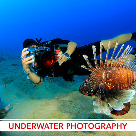 underwater photography course