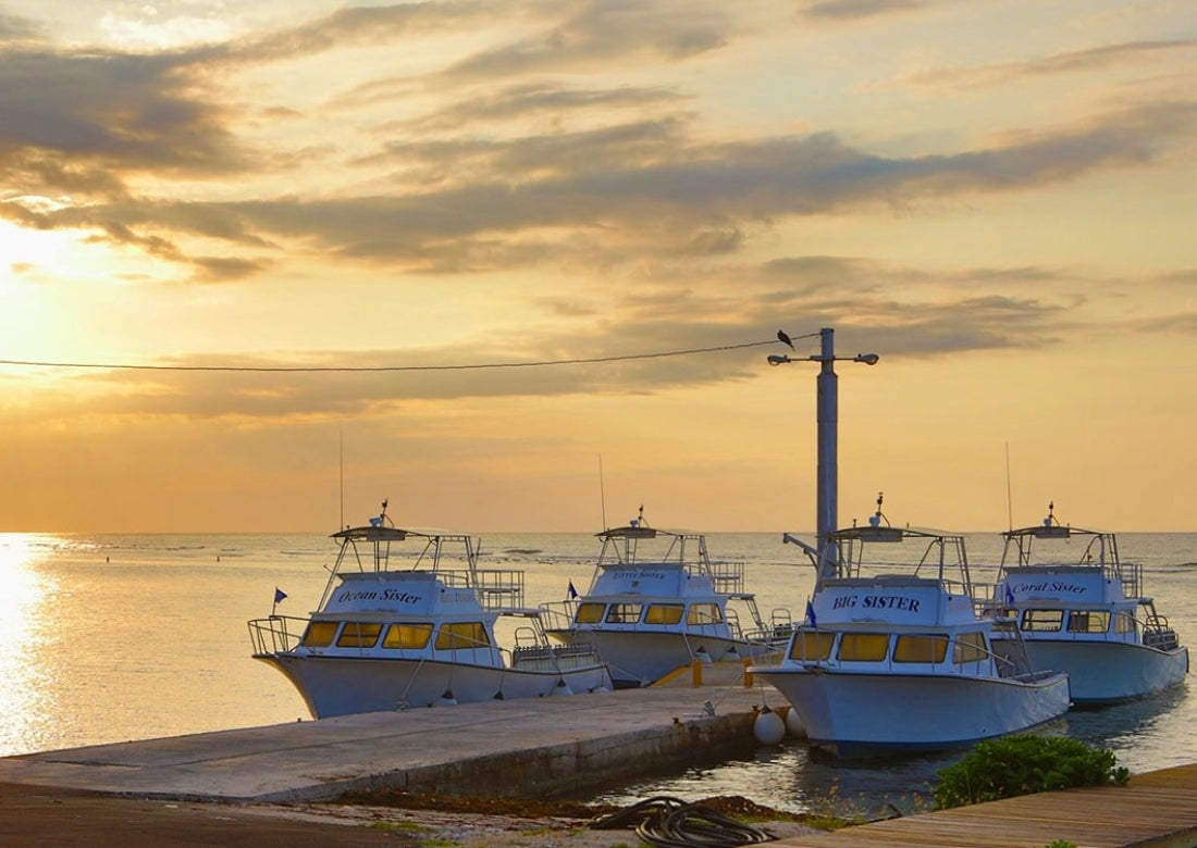 cayman brac dive boats