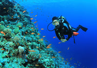 underwater environment