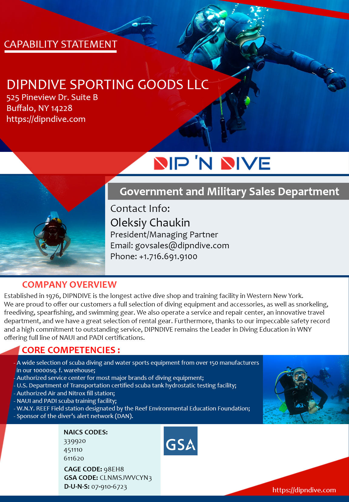 DIPNDIVE Capability Statement