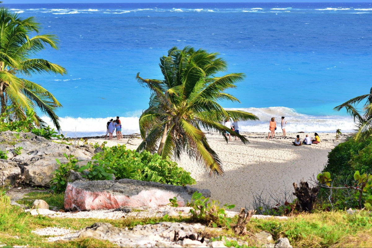 diving in barbados