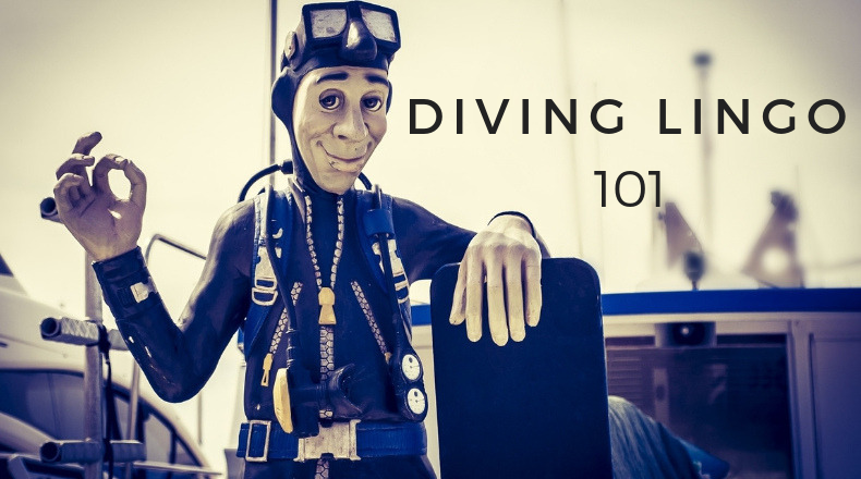 Diving Lingo 