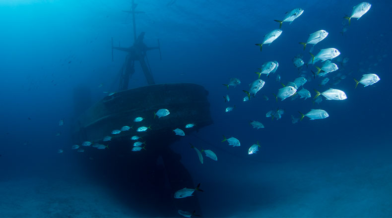 wreck diving