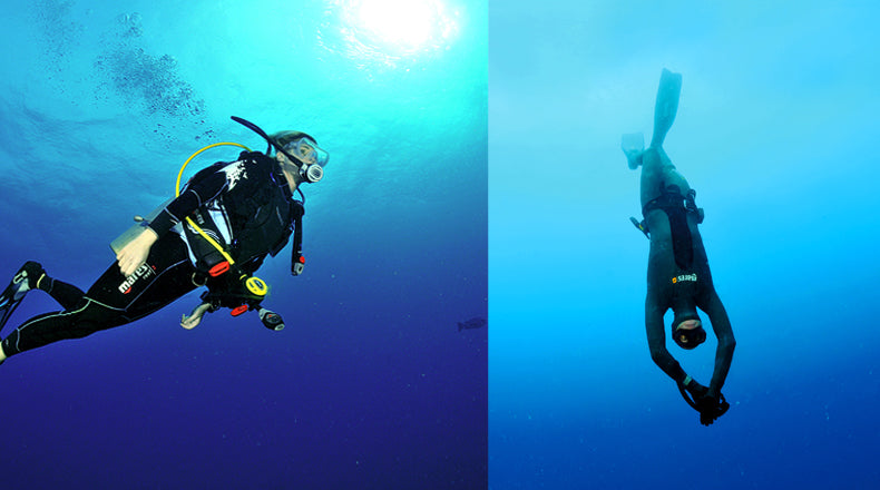 why you should try freediving