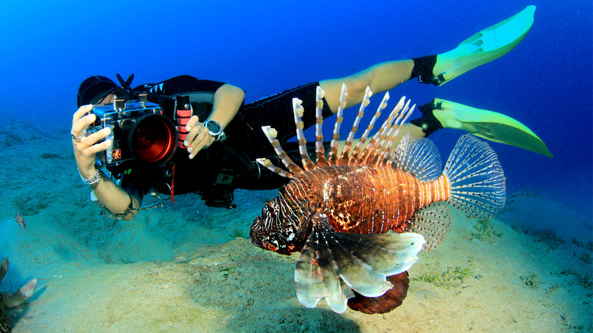 underwater photography gear