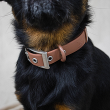 Load image into Gallery viewer, Solace Weatherproof Dog Collar
