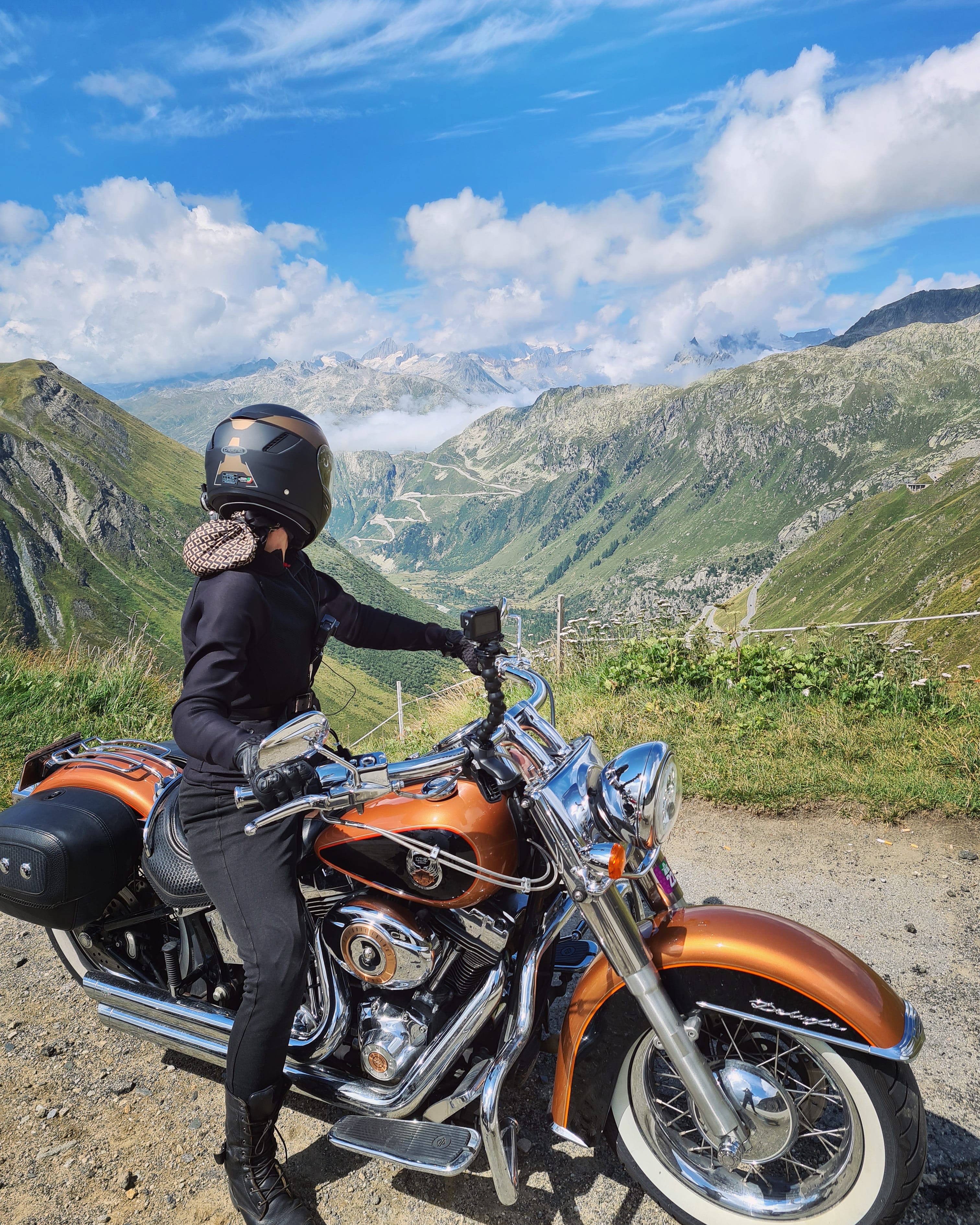 BunnyKingHogs in Switzerland overlooking a mountain