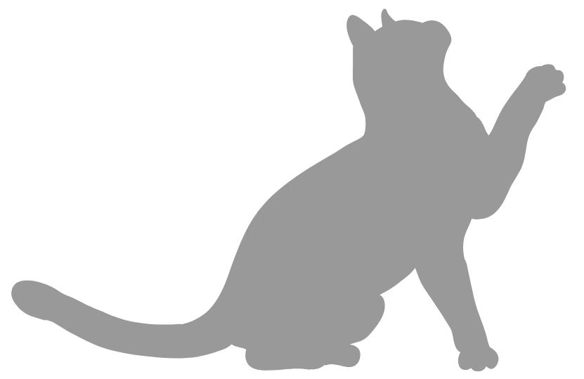 Grey cat icon