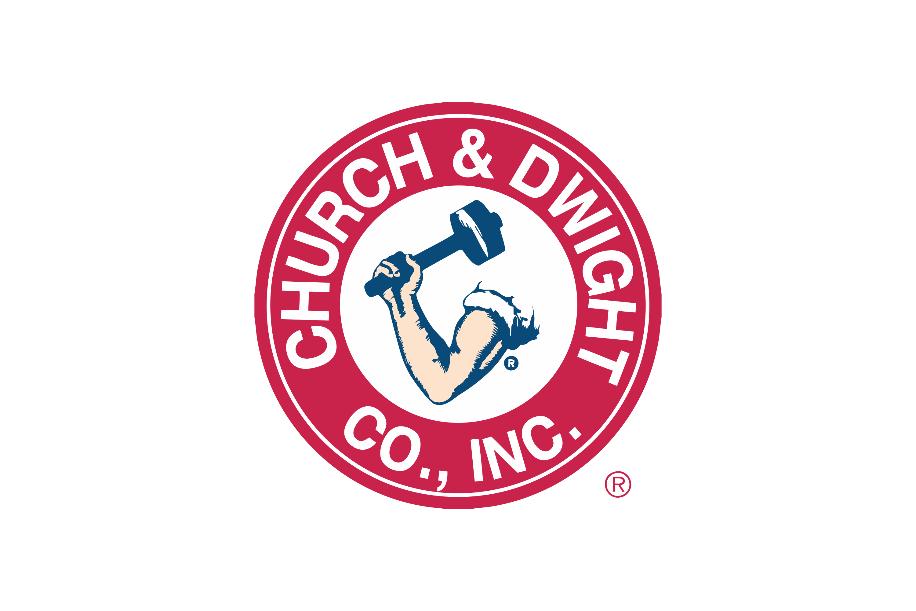 church & dwight co. inc logo, bolide technology group, san dimas, california, cctv cameras & network/coax cameras