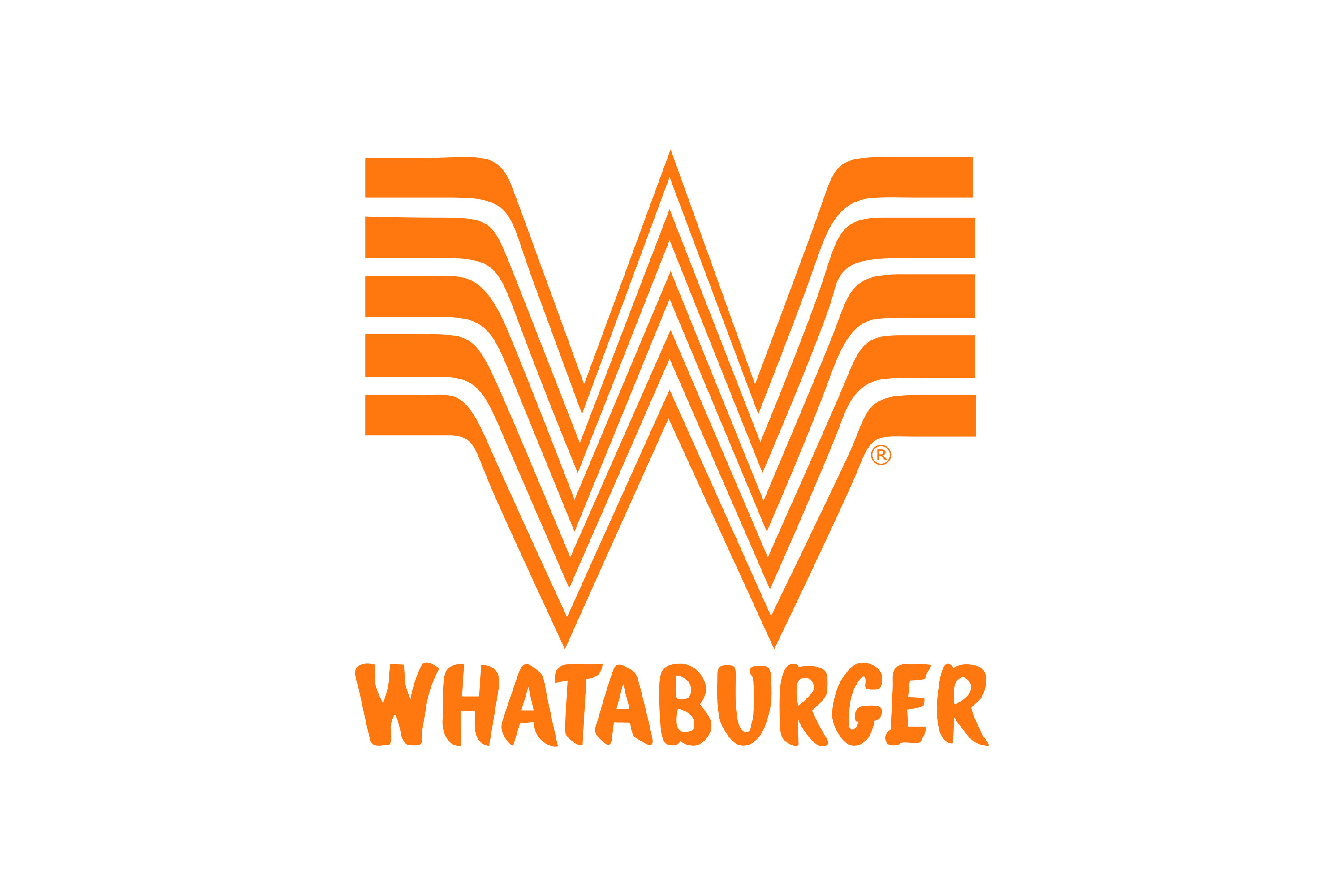 whataburger logo, bolide technology group, san dimas, california, cctv cameras & network/coax cameras