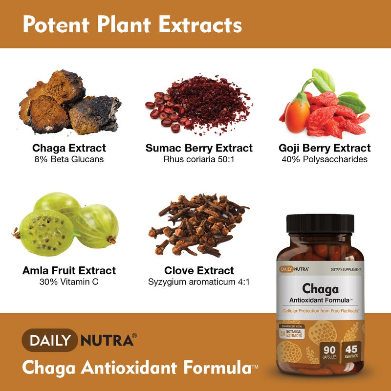 Chaga Antioxidant Formula