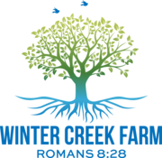 What You Get – Winter Creek Farm