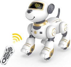 Stemtron Intelligent Programmable RC Robot Toys - EXHOBBY