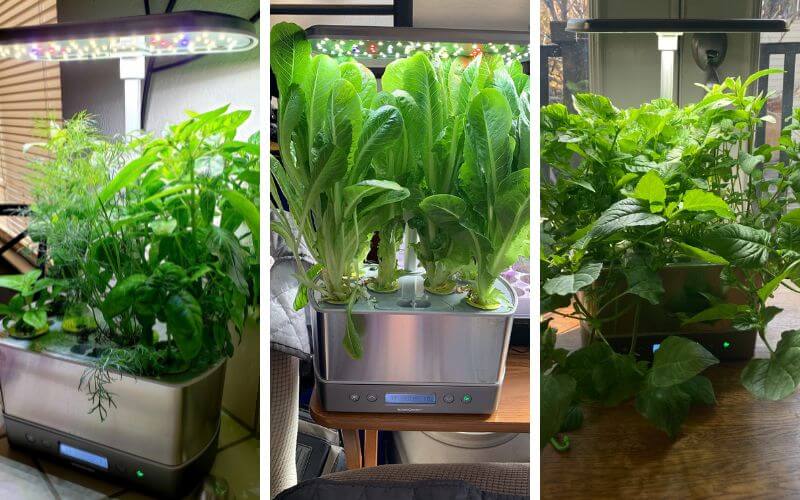 AeroGarden Harvest Elite Indoor Garden With Gourmet Herb Seed Pod Kit