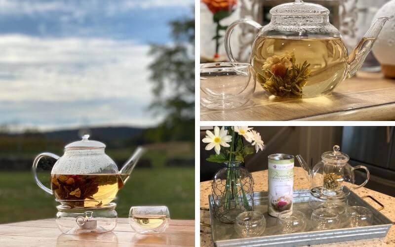 Teabloom Celebration Complete Blooming Tea Set