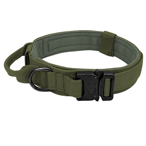 Scout Dog Collar