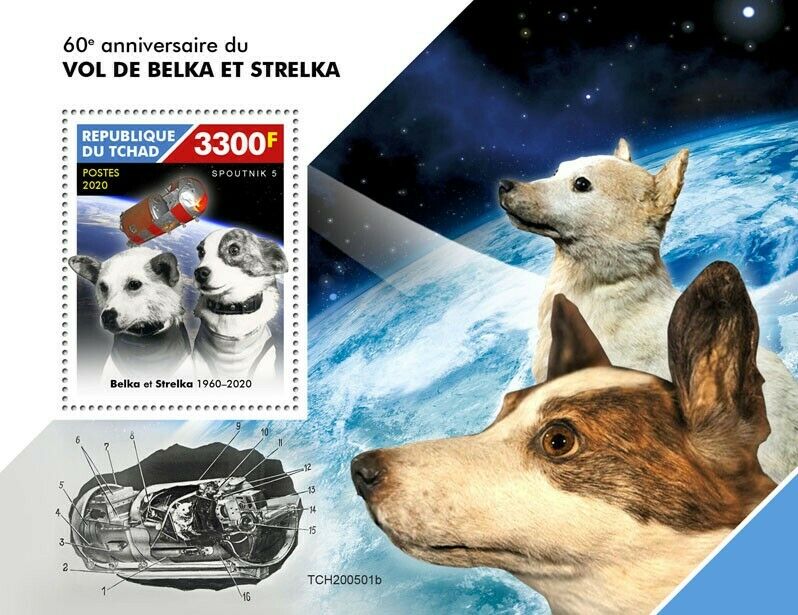 what kind of dogs were belka and strelka