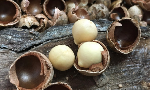 Tamanu fruit