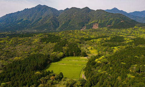 屋久岛风景