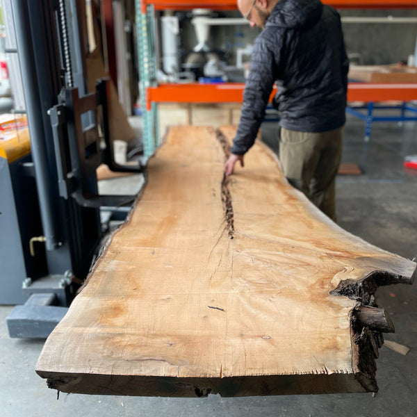 Raja Badr-El-Din of JOHI evaluates a long monterey cypress slab (grown in Santa Cruz) in the studio workshop.