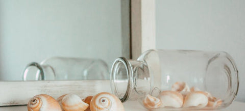 shells in a glass bottle.