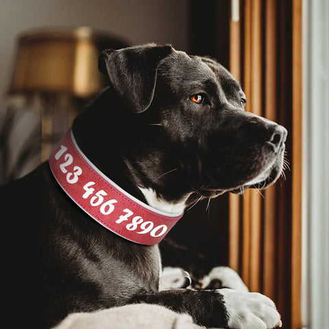 Elegantes personalisiertes Lederhalsband für Hunde