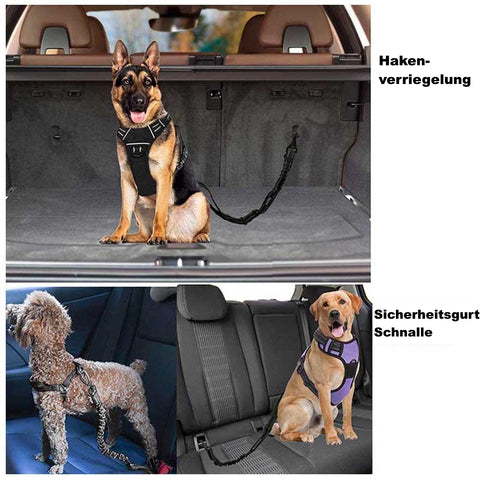 Anschnallgurt für Hunde Auto Sicherheitsgurt Hundegurt Adapter Anschnaller  Neu