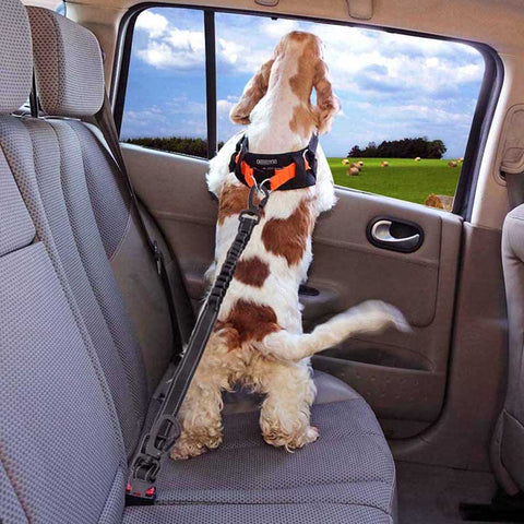 Fellnasen 3-in-1 verbesserter Sicherheitsgurt um Hunde im Auto
