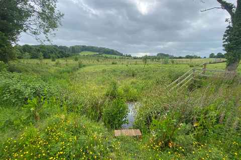 Island & Wetlands beyond Abbots Grange