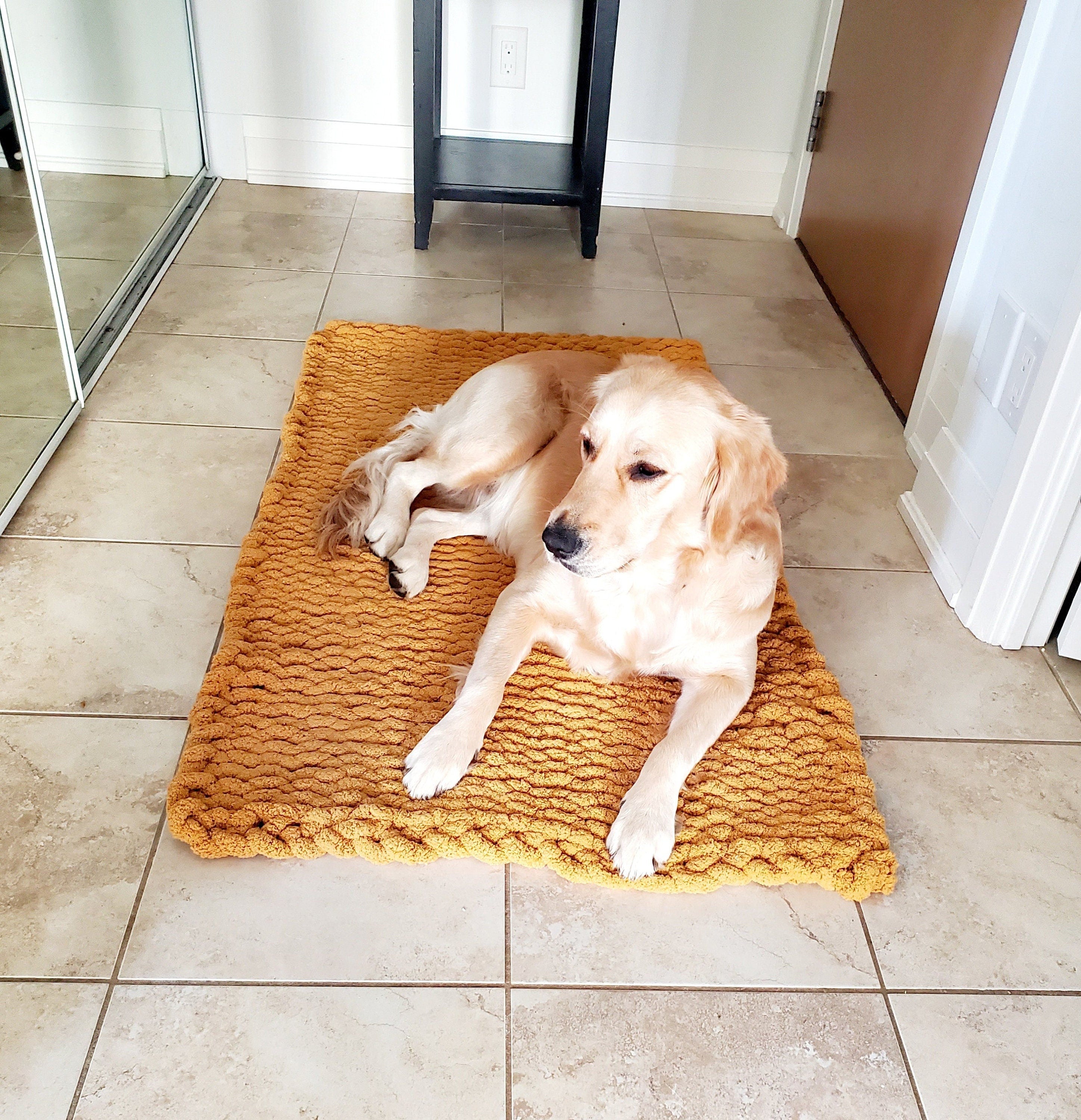 kennel blanket