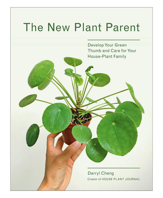 Houseplant Care Bundle Image 6