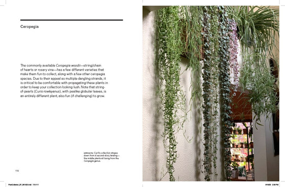 The New Plant Collector Book by Darryl Cheng Image 2