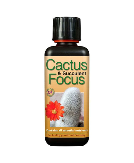 Cactus & Succulent Focus - Fertilser Image 1