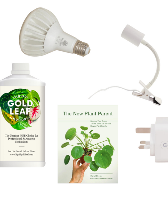 Houseplant Care Bundle Image 1