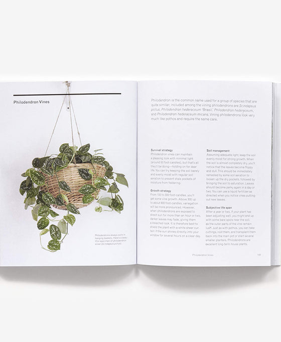 "The New Plant Parent"  Book by Darryl Cheng Image 3