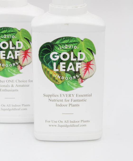 Liquid Gold Leaf - Plant Food Image 2