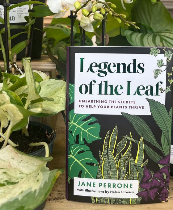 Legends of the Leaf by Jane Perrone Image 2