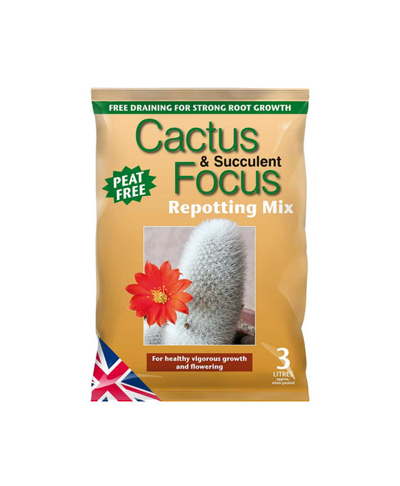 Cactus & Succulent Focus Repotting mix - Peat Free Image 1