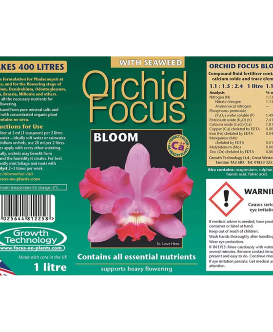Orchid Focus Bloom Image 2