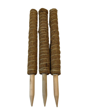 Coco-coir pole