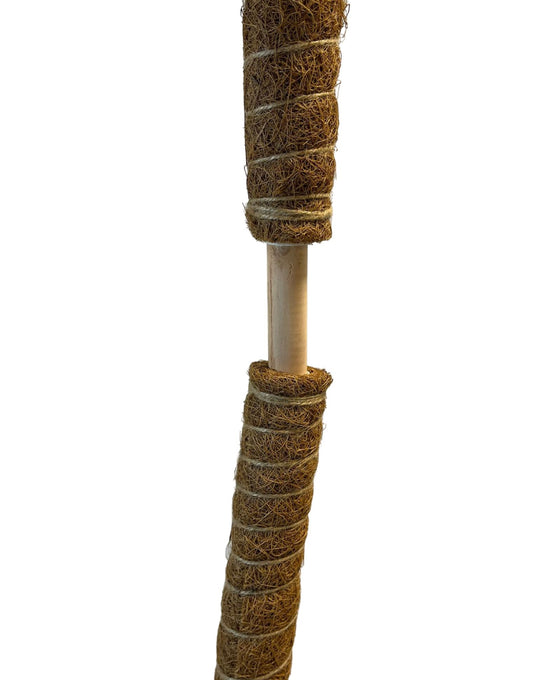 Coco-coir pole Image 4