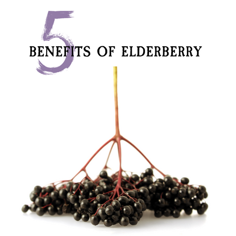 Benefits of elderberries 