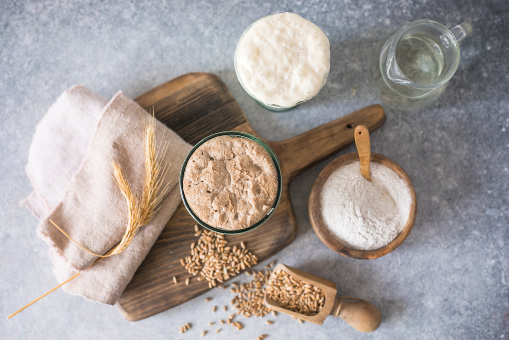 Different bread starters sitting on a table with wheat, flour, and wheat kernels around them